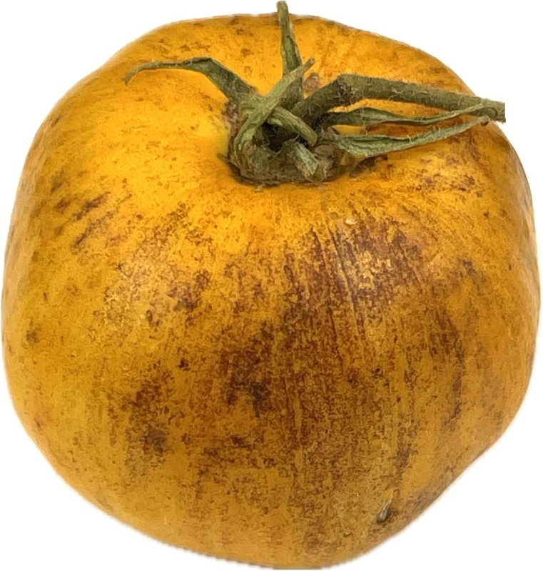 Primary Colours Tomato 40 Seeds