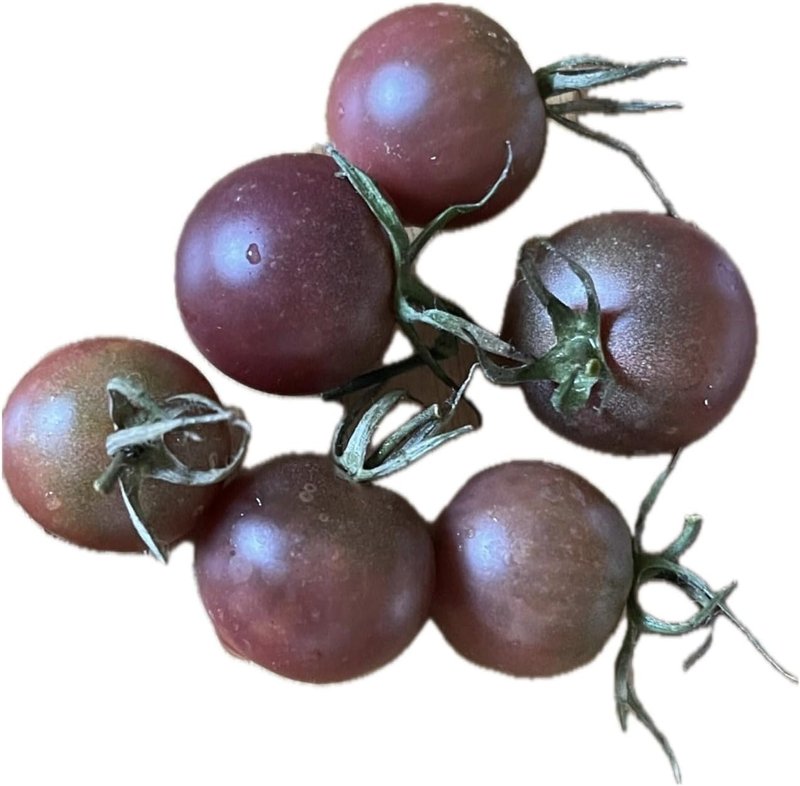 Black Cherry Tomato 50 Seeds