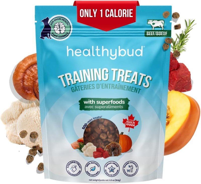 Healthybud Mini Training Treats for Dogs – Soft, Low-Calorie Beef Liver Training Treats for Puppies & Small Dogs – Superfood Ingredients: Reishi, Lion’s Mane, Salmon Oil – Made in Canada (6.5oz) Beef Beef 184 g (Pack of 1)