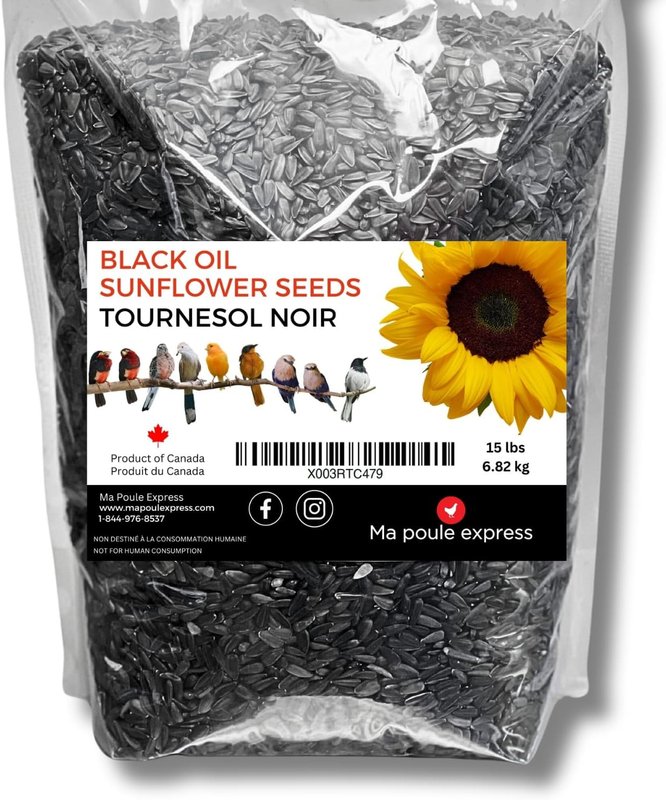 Ma Poule Express Sunflower Seeds for Birds Black Oil Seeds Wild Bird Black Oil Sunflower Food, 1,2,3,5 Pounds Simply Sunflower Seed (15 Lbs, Black)