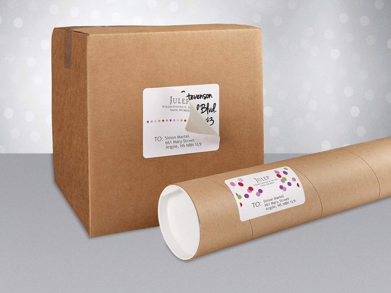 Avery Shipping Labels with TrueBlock Technology for Inkjet Printers, 2" x 4", White, Rectangle, 250 Labels, Permanent (8163) Made in Canada 2" x 4" Label