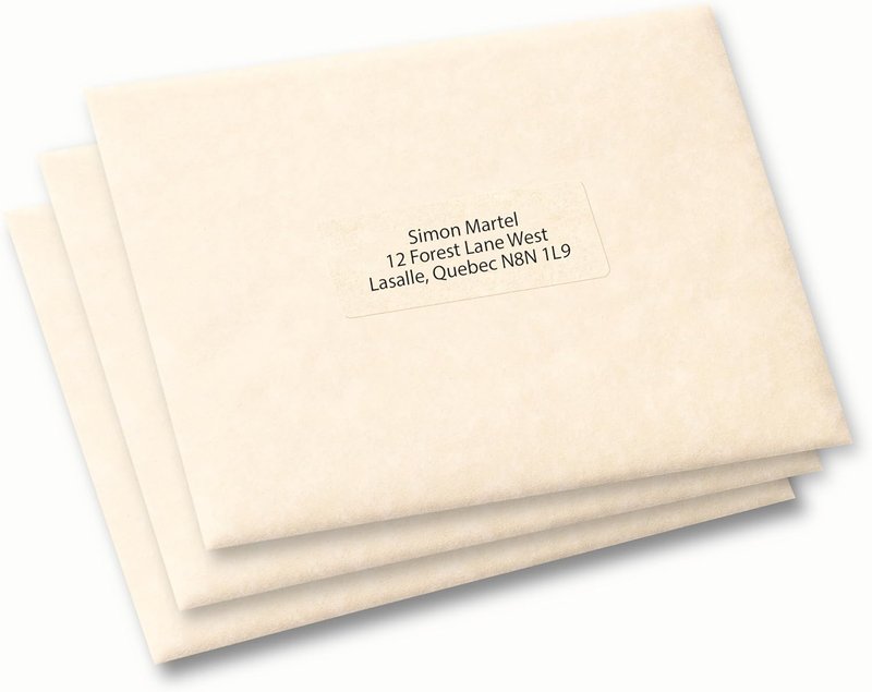 Avery Clear Address Labels with Easy Peel for Laser and Inkjet Printers, 1" x 2-5/8", Glossy Clear, Rectangle, 300 Labels, Permanent (7666) Made in Canada 300 Labels Label 1" x 2-5/8"