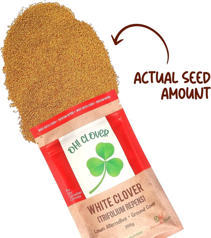 Oh! Canada Seeds White Clover Seeds, Pollinator Friendly Lawn Alternative, Ground Cover, White Flower Seeds