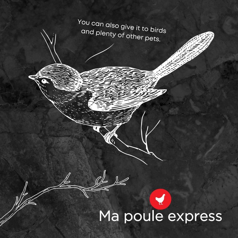 Ma Poule Express - Proudly Canadian Bird Feed – 3.18kg | Wild Bird Seed Mix | Premium Bird Food for Feeders | Sunflower, Millet, Corn | Attracts Cardinals, Finches & More ... |