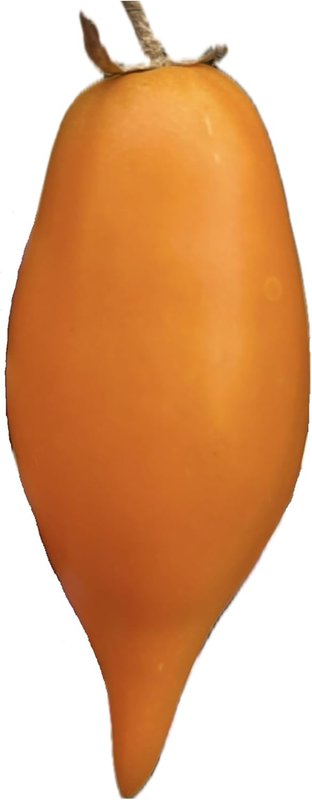 Buratino or Pinocchio Heirloom Tomato 20 Seeds