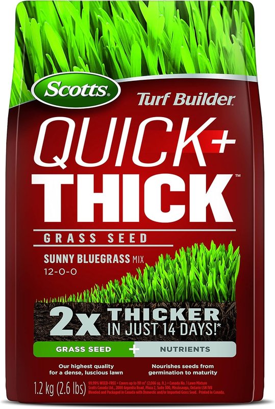 Scotts Turf Builder Quick + Thick Grass Seed (Sunny Bluegrass) 1.2kg (12665), Green