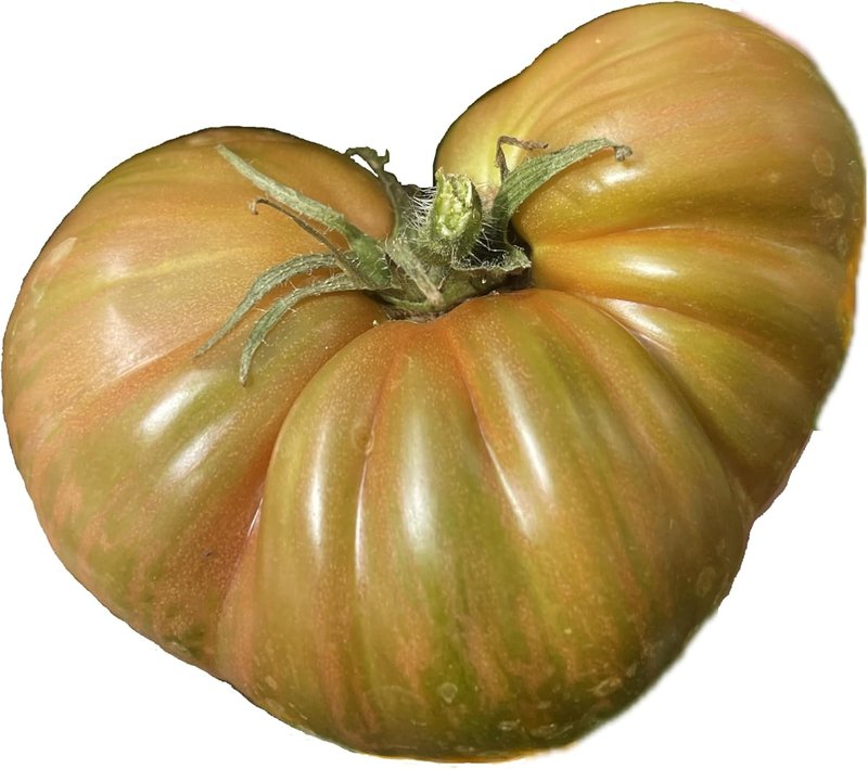 Large Barred Boar Tomato 50 Seeds