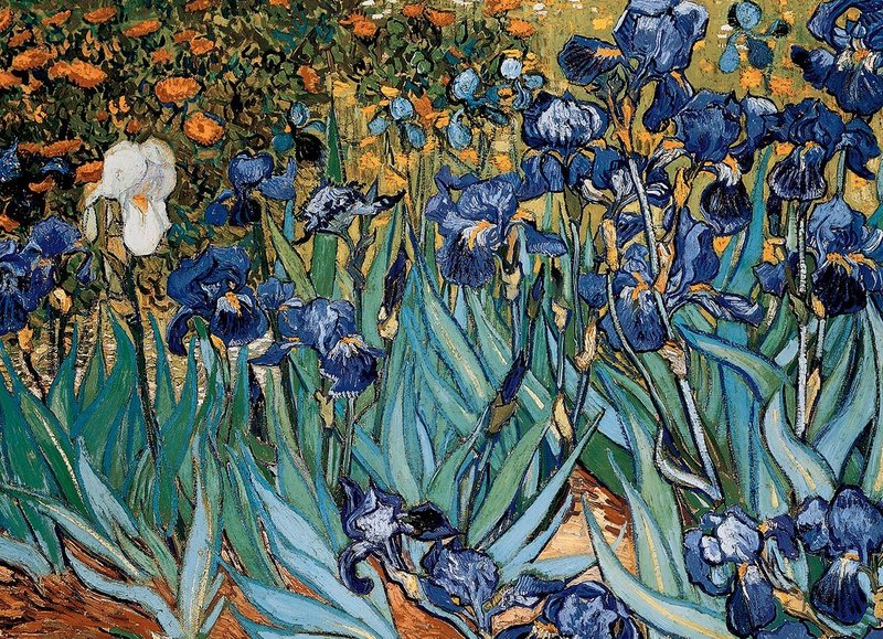 Eurographics Irises by Vincent Van Gogh 1000-Piece Puzzle