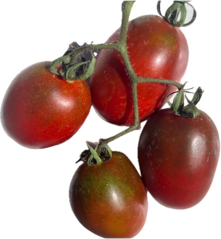 Black Plum Tomato 50 Seeds
