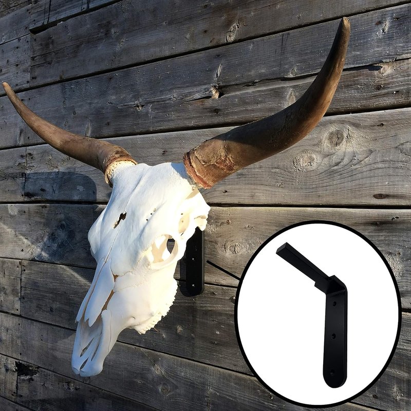 Modern European Skull Hooker - Perfect for Hanging and Mounting Taxidermy Beef, Elk, Moose, Caribou Antlers Skulls for Display