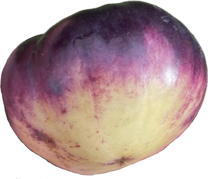 SART Roloise Tomato 20 Seeds