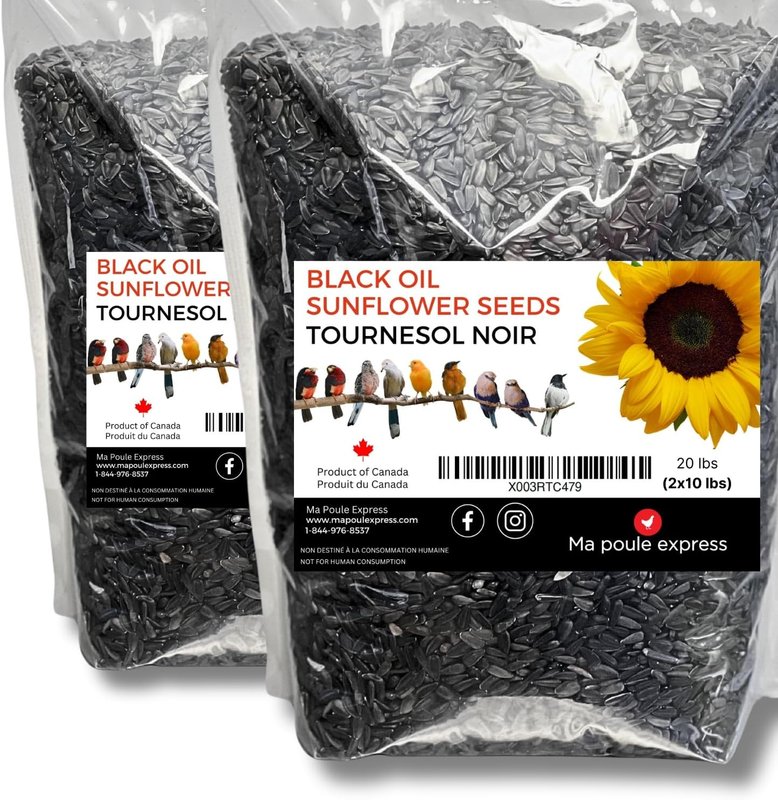 Ma Poule Express Sunflower Seeds for Birds Black Oil Seeds Wild Bird Black Oil Sunflower Food, 1,2,3,5 Pounds Simply Sunflower Seed (20 Lbs, Black)