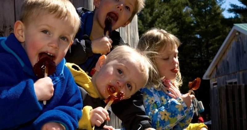 Les BONBONS Richard Pure Syrup Maple Lollipop 20g/Piece-Bubdle Package (54 Pieces (Original Box Package)) 54 count (Pack of 1)