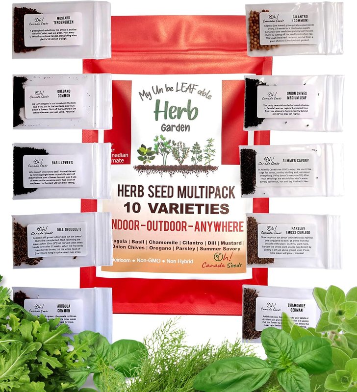 Oh! Canada Seeds, 9700 Herb Seeds - 10 Heirloom Seeds for Planting Canada, Herb Garden Indoor Kit, Outdoor or Indoor Herb Garden Kit, Gardening Gifts Includes Basil Seeds, Dill Seed, and Other Herbs 10 Herbs