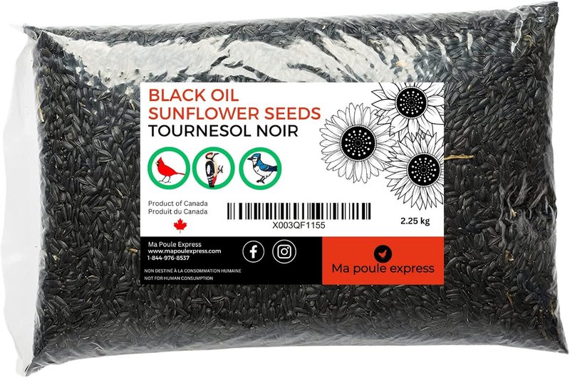 Black Oil Sunflower Seeds for Birds, (5 Pound) 450 g (Pack of 1) Black