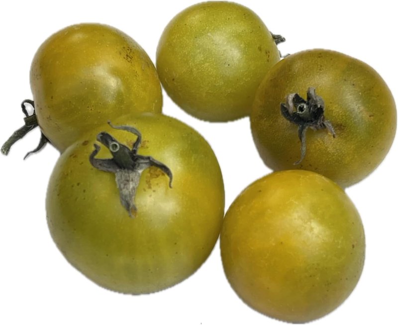 Fat Frog Micro Dwarf Tomato 40 Seeds