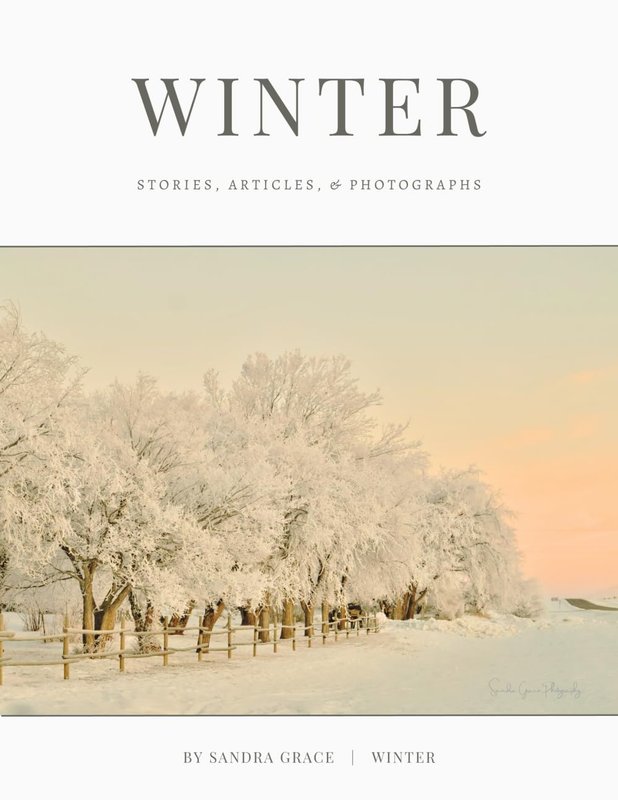 Winter: Stories, articles, & Photographs