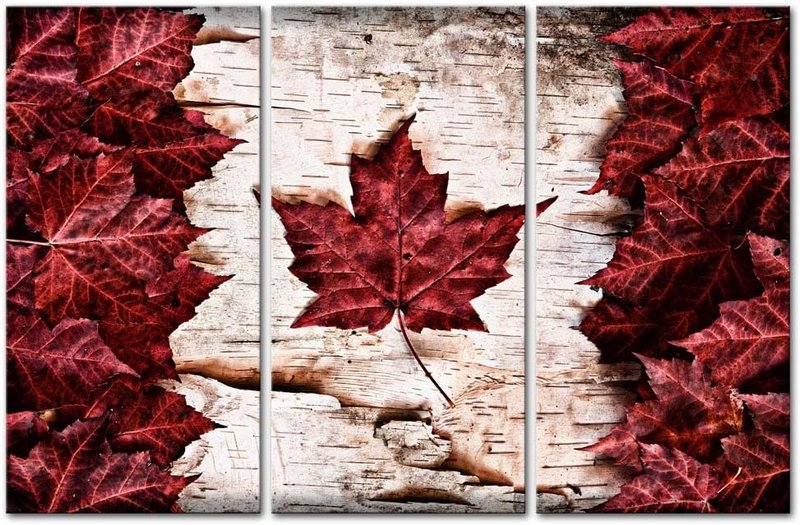 My Easy Art? 3 Pieces Modern Canvas Painting Wall Art The Picture For Home Decoration Flag Of Canada Constructed Of Maple Leaves White Birch Bark Country Symbol Print On Canvas Giclee Artwork For Wall Decor