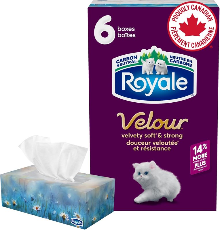 Royale Velour 3 Ply Facial Tissue, 6 Tissue Boxes, 82 Tissues per Box