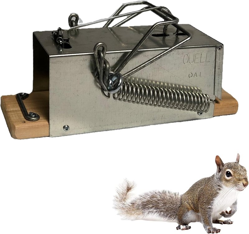 Squirrel Traps Outdoor - Squirrel Traps - Ouell Traps - Trap for Big Squirrels (Black or Gray) AIHTS Code QAI