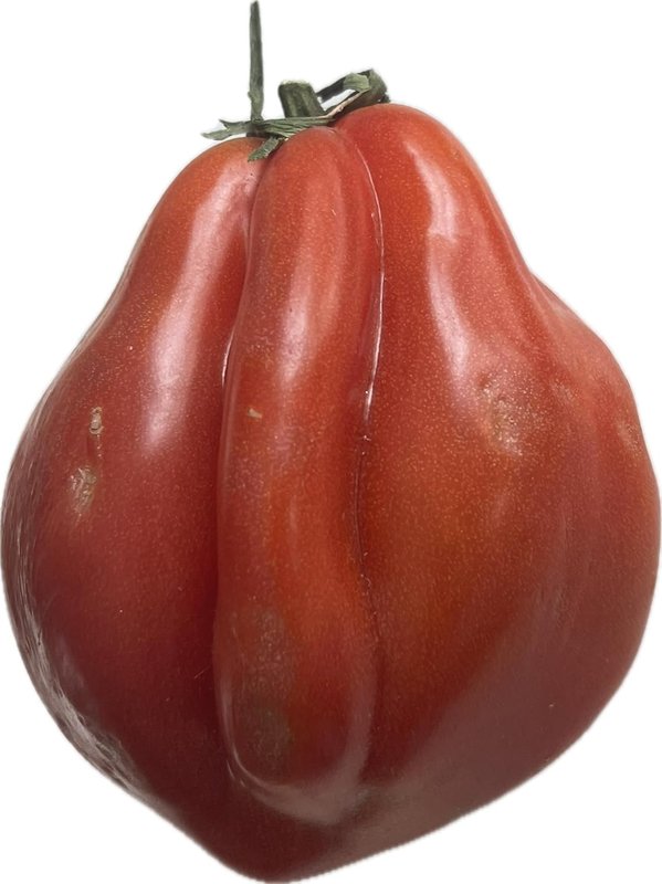 Tlacolula Ribbed Heirloom Tomato 40 Seeds